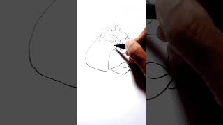 Angry Birdsforeman Pigeasy Drawing&Coloring