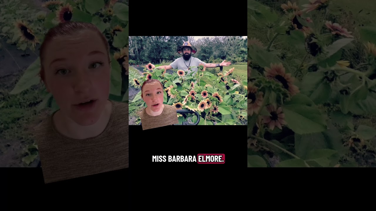 Этой судье следует взять самоотвод.