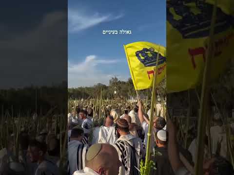 Thousands pray at Nova where festivalgoers were murdered October 7th