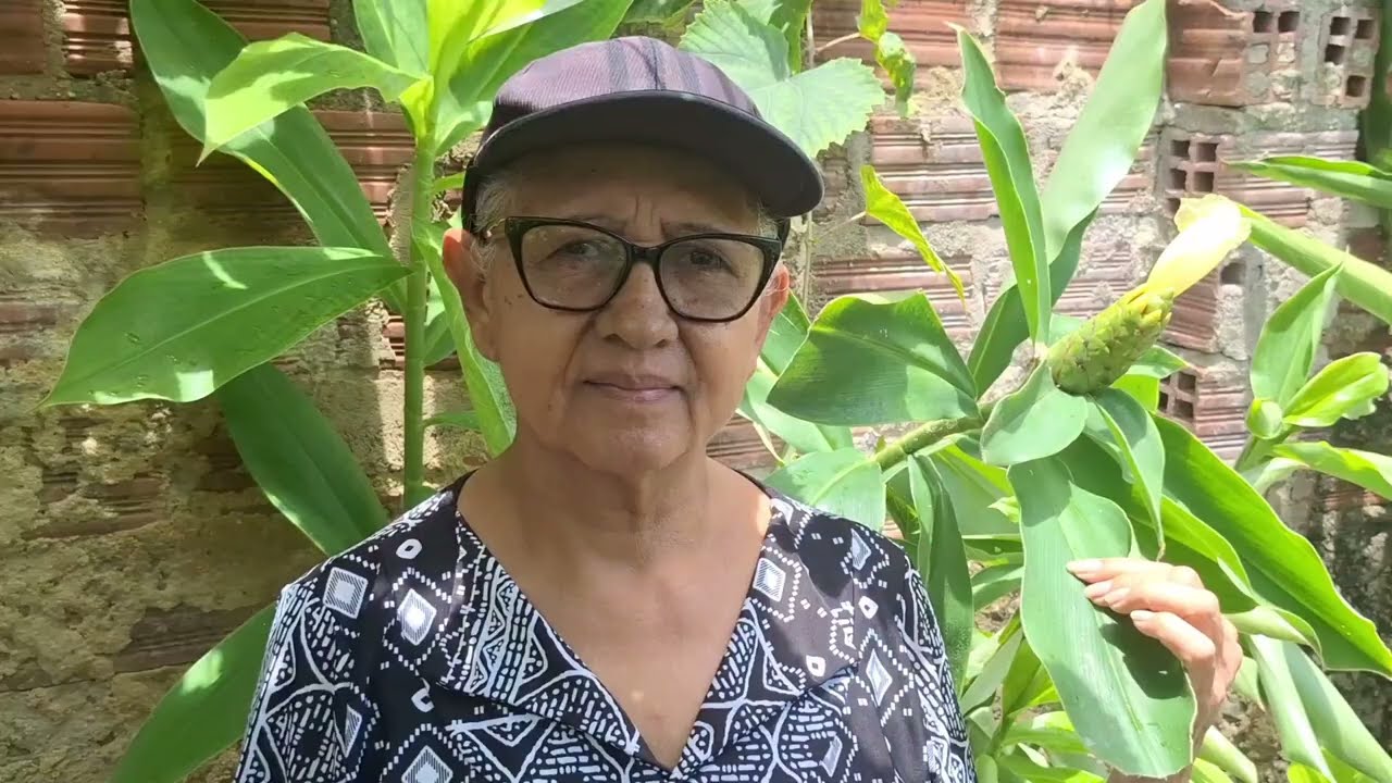 Cana-do-Brejo! Combate Pedras nos Rins e Emagrece! - YouTube