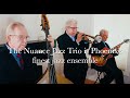 Nuance jazz trio