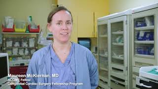 Introducing Emory University School of Medicine Pediatric Cardiothoracic Surgery Fellowship