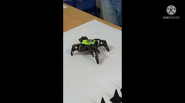 AI Robot Jetbot 🤖 Made By UEM JAIPUR STUDENTS/ #uem /#robot /#youtube