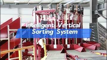 Intelligent Vertical Sorting Systerm