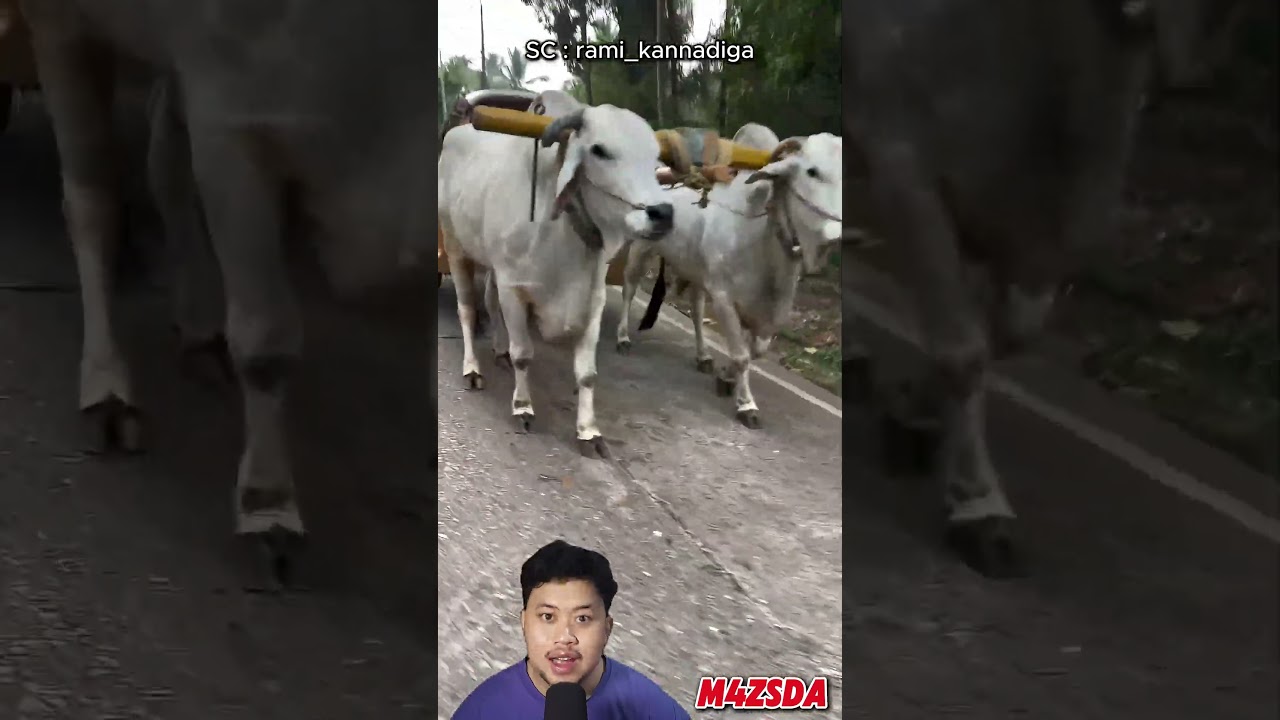 Viral!! Modifikasi Mobil Mewah Paling Unik! 