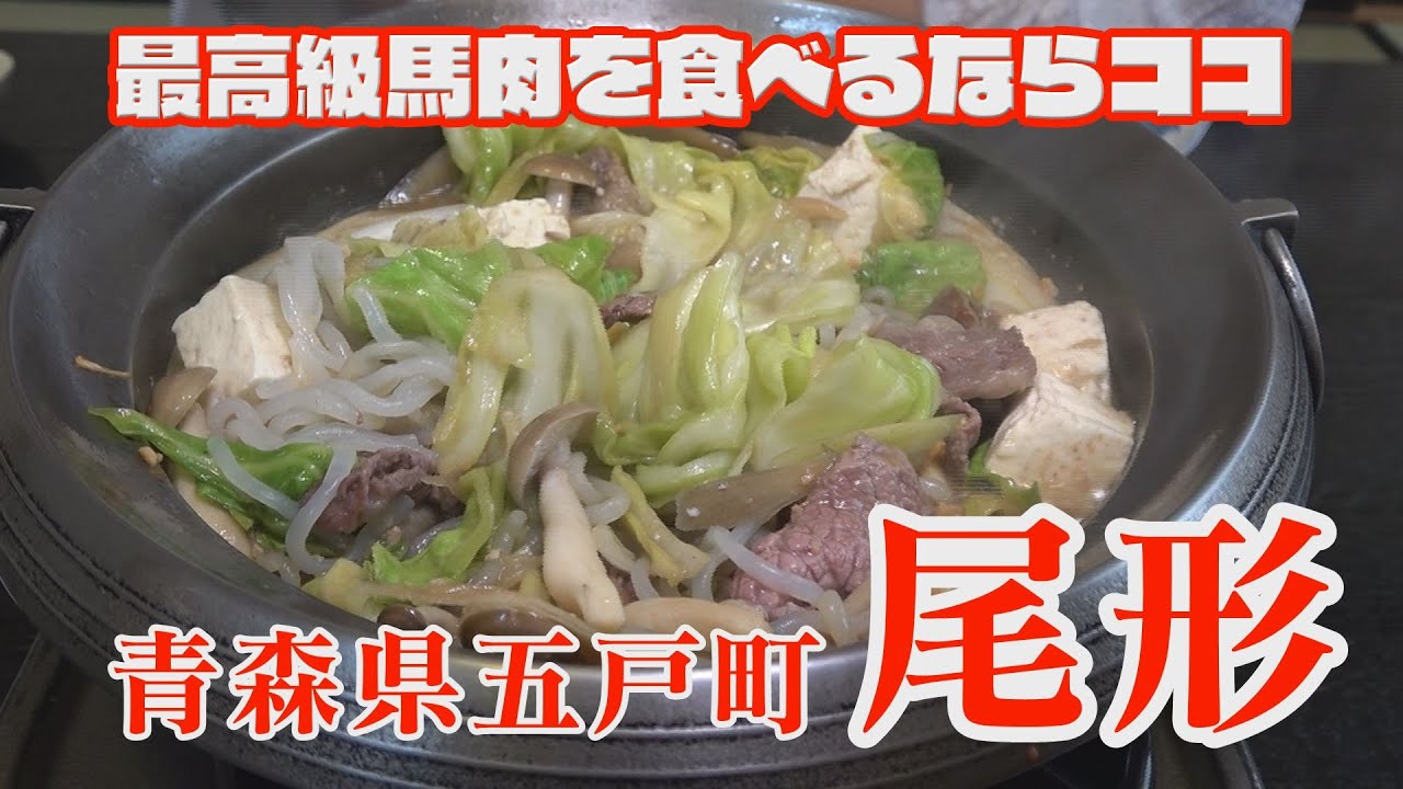 【女子旅】厳選された最高級馬肉を食べるならココ！ミートプラザ尾形で最高級馬肉料理と食べつくす！