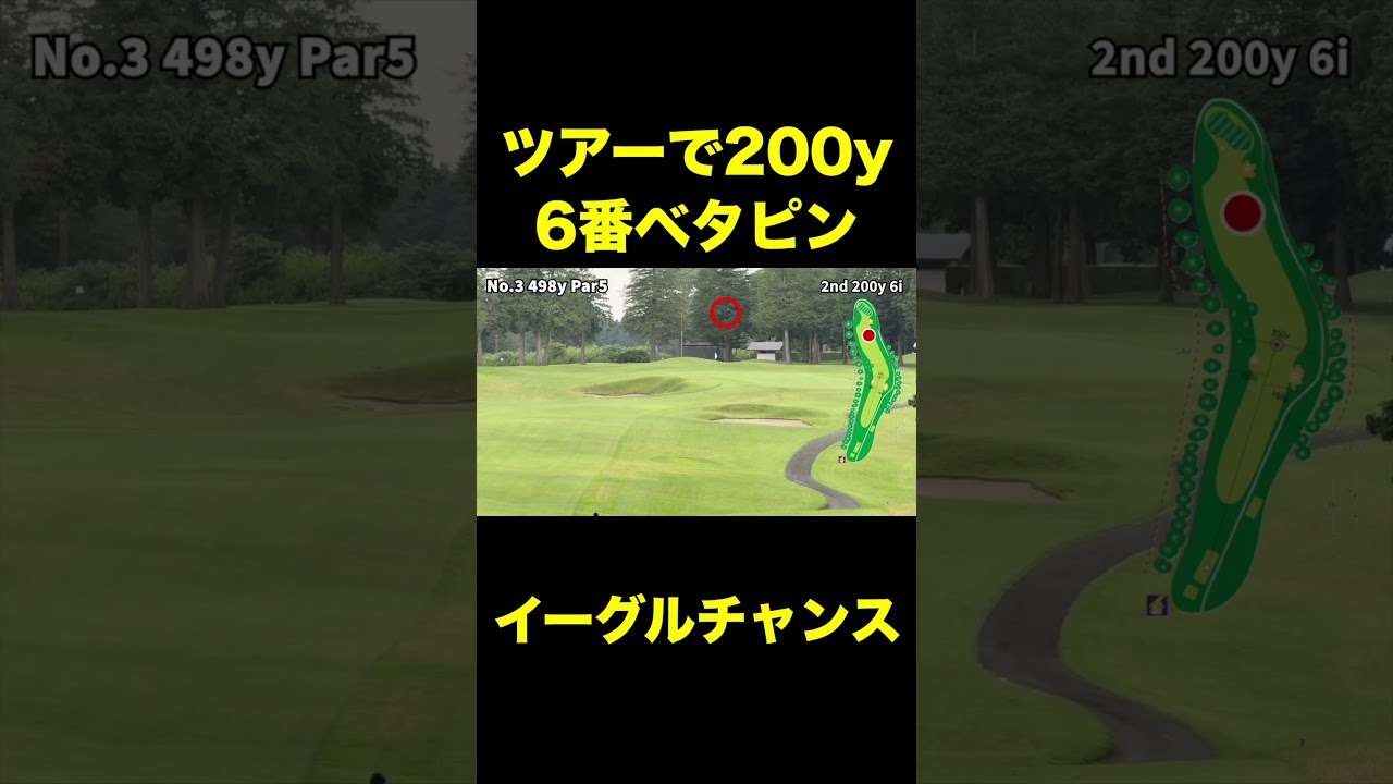 ツアーで200y6iベタピンイーグルチャンス #shorts