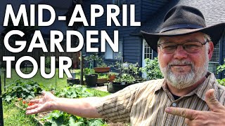 Mid-April Garden Tour 2021 || Black Gumbo