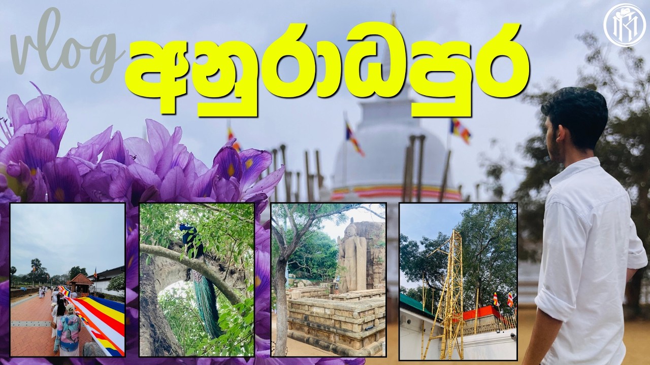 අනුරාධපුර වන්දනා ගමන සමගින් | Vlog Anuradhapura