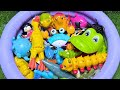 Amazing Ocean Animals for Kids | Learn Names, Sounds &amp; Play with Educational Toys