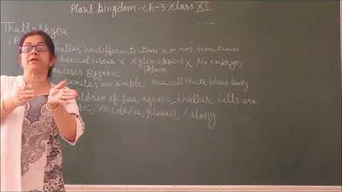 Bio-XI-3-02 Thallophyte Algae,  Pradeep Kshetrapal channel