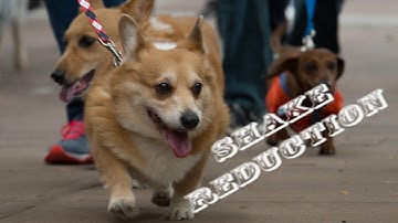 Photoshop Elements 14 Shake Reduction