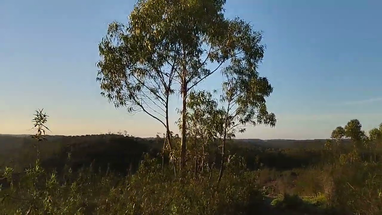 Mace Energy Method Eliminates Negative Entities