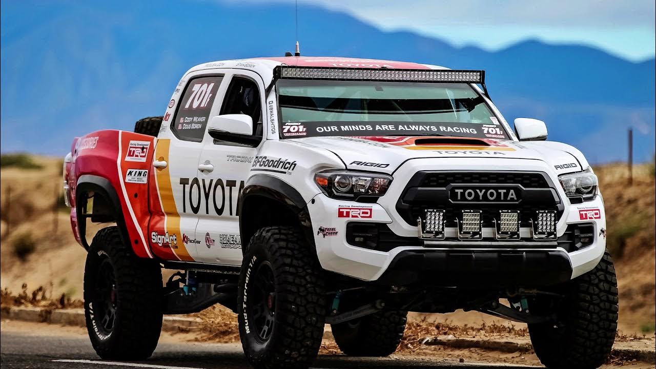 SignArt Graphix Owner Raves about the ColorPainter M64s YouTube