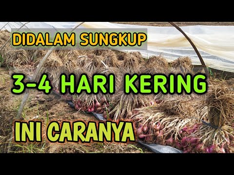 Video: Cara Memasak Tanpa Pemproses Makanan: 9 Langkah (dengan Gambar)