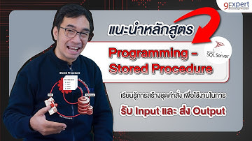 แนะนำหลักสูตร SQL Programing Stored Procedure | 9Expert Training