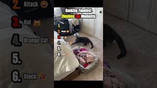 Ranking Funniest Clueless Cat Moments 😹🤔