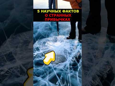 5 НАУЧНЫХ ФАКТОВ О СТРАННЫХ ПРИВЫЧКАХ! #привычки #Психология #Наука #Факты #wowfacts #почему
