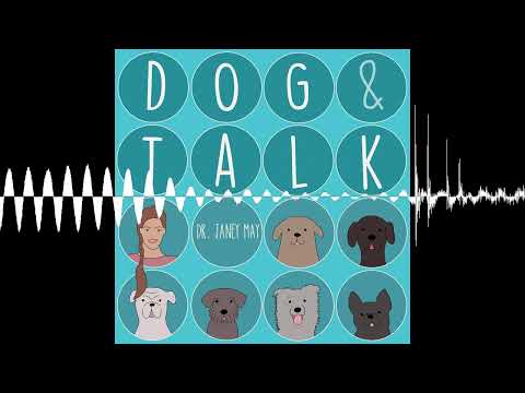 Alles Raumdenken oder was? - Dog & Talk - Auf eine Gassirunde mit Dr. Janey May