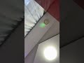Тамада Людмила Алексеевна устроила неожиданный подарок на свадьбу Элькиму и Марии 25.10.25  #донецк
