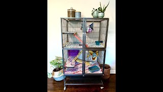Prevue Cage Makeover