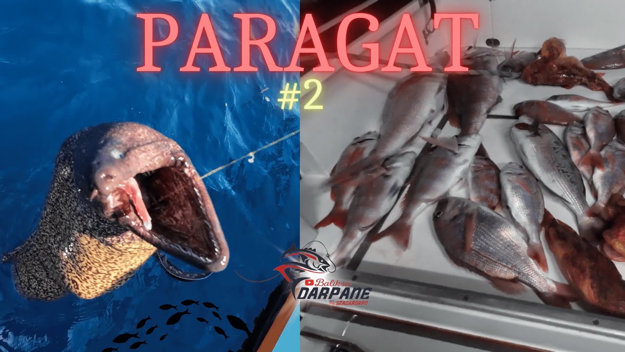 BEKLENEN PARAGAT 2!!