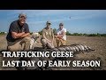 Traffic Hunts for Geese | Last Early Season Goose Hunt