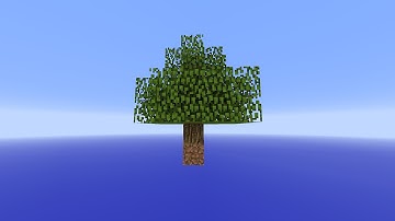 Learning With Chronno - Creating a Void World in Minecraft