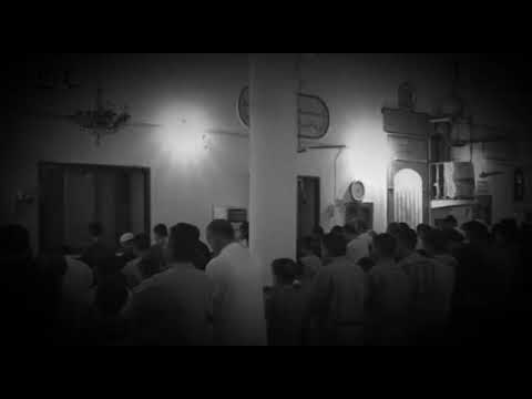 هم الأحبة إن جاروا و إن عدلوا نور الدين صوت و حب صوفي
