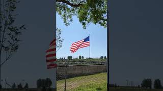 Happy 4th of July #shorts #4thofjuly #celebrate #USA #USBirthday #independence #usflag #oldglory