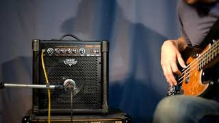 Louis LBA 15 bass Amp