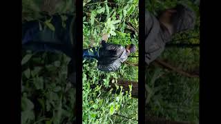 Preview of my trip to #kulimagodfalls #shorts #shortvideos