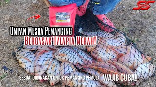 Umpan Mudah Pujuk Talapia Merah‼️Dangauku Ada Caranya ‼️part 2