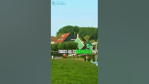 Netherlands Certificate Attestation Services in the UAE #certificateattestation #attestation