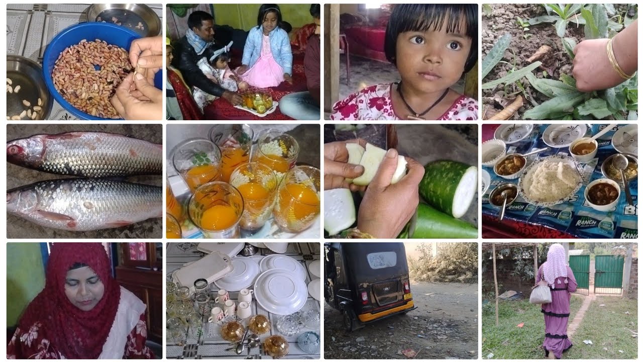 বাড়িতে মেহমান আসা মানেই একরাশ আনন্দ আর সারাদিনের ব্যস্ততা। আজকের দিনটা দারুণ কাটল! Assam village L S