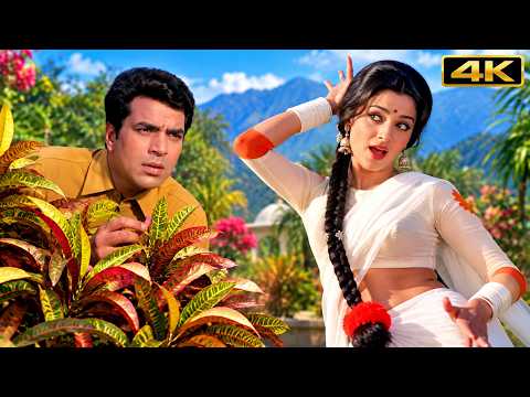 रमा दुहाई मेरे रमा दुहाई | Lata Mangeshkar | Asha Parekh, Dharmendra | Aaya Sawan Jhoom Ke | 4K Song