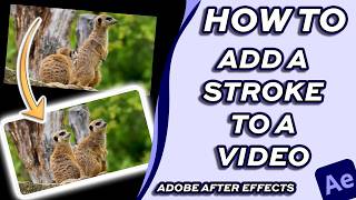 Add a Border Outline Effect to your Videos in Adobe After Effects