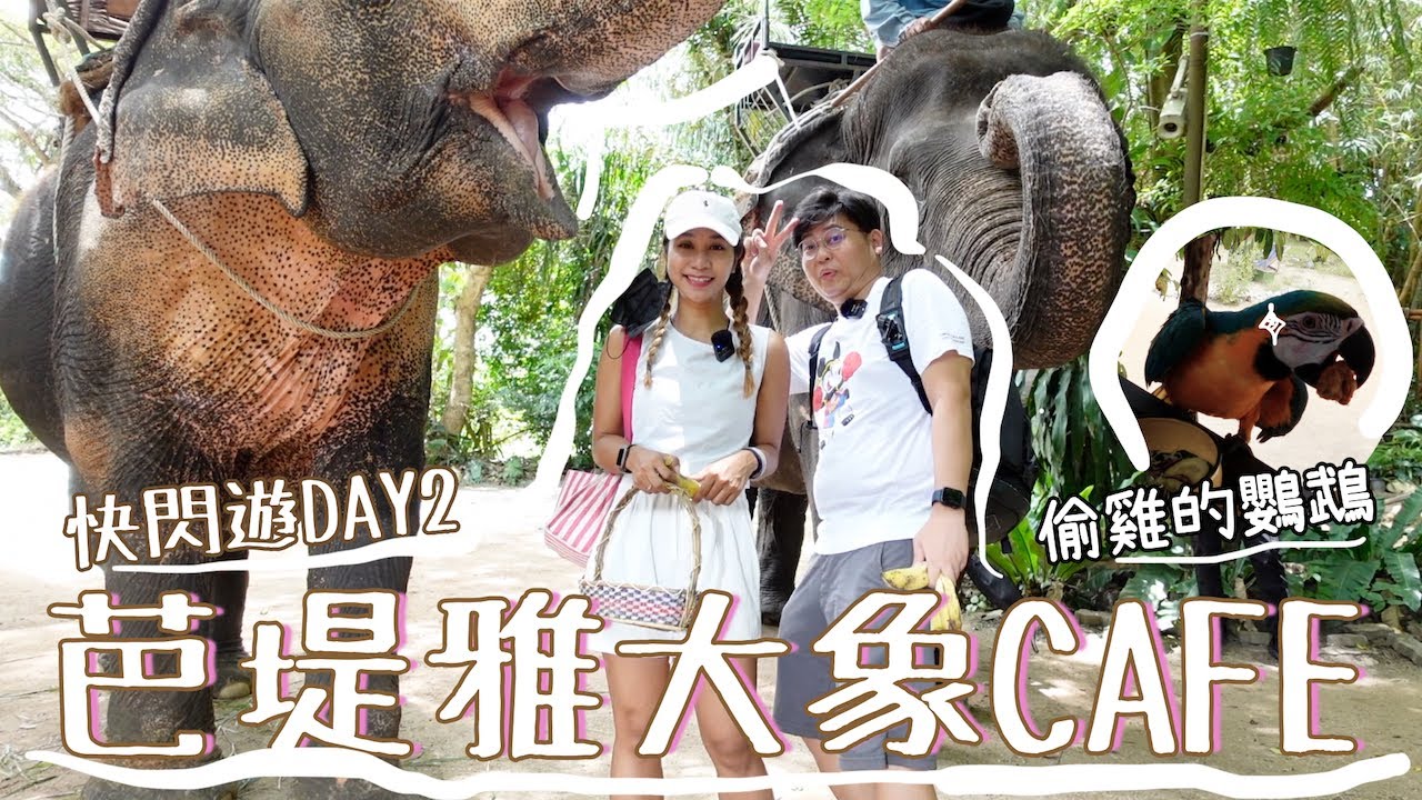 芭堤雅大象Cafe🐘｜一邊食泰菜一邊睇表演🎪｜好食之餘又性價比高👍｜但要小心偷雞的鸚鵡🦜｜泰國小阮Yuensanthailand E90 [CC subtitle]