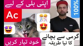 How to cool your cat in hot weather | Best cooling tips for cats in summer | Urdu | Hindi by Cats & birds club Fz 3,435 views 9 months ago 8 minutes, 25 seconds