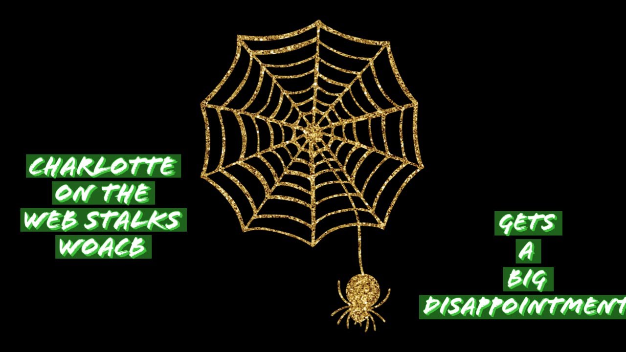 charlotte-on-the-web-stalking-anything-abt-woab-youtube