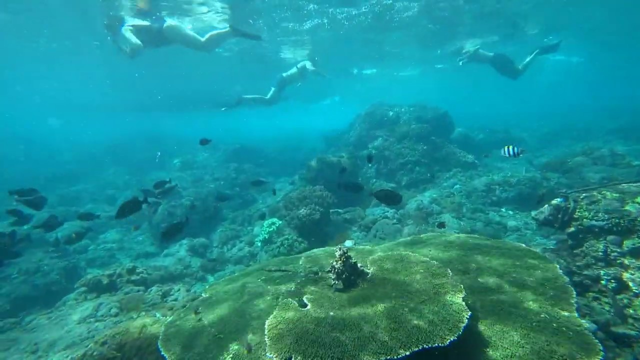 Snorkeling à Crystal bay à Nusa Penida YouTube