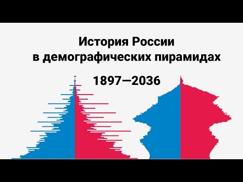 Видео: Передача сигналов PD-1 влияет на морфологию крист и приводит к дисфункции митохондрий в CD8 + T-лимфоцитах человека