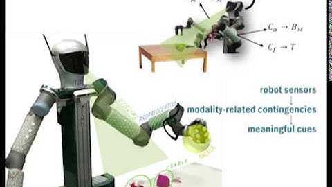 Yielding self perception in robots through sensorimotor contingencies