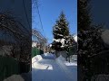 Февраль поворачивает к весне 