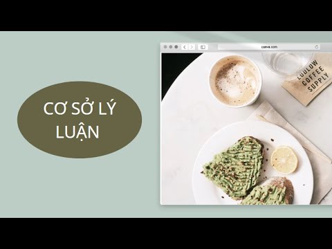 Video Giao Duc VNTV | Cơ sở lý luận của việc định vị thương... - youtube