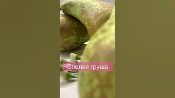 Нежный аромат с мятой на каждый день🌱