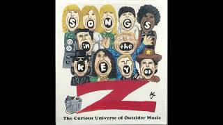 アート・デザイン・音楽 Song in the key of z Amazon.com: Songs in the Key of Z: The Curious Universe of