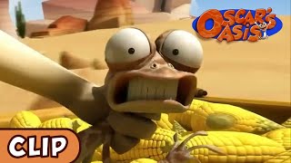 Oscars Oasis - A Bit Corny | HQ | Funny Cartoons
