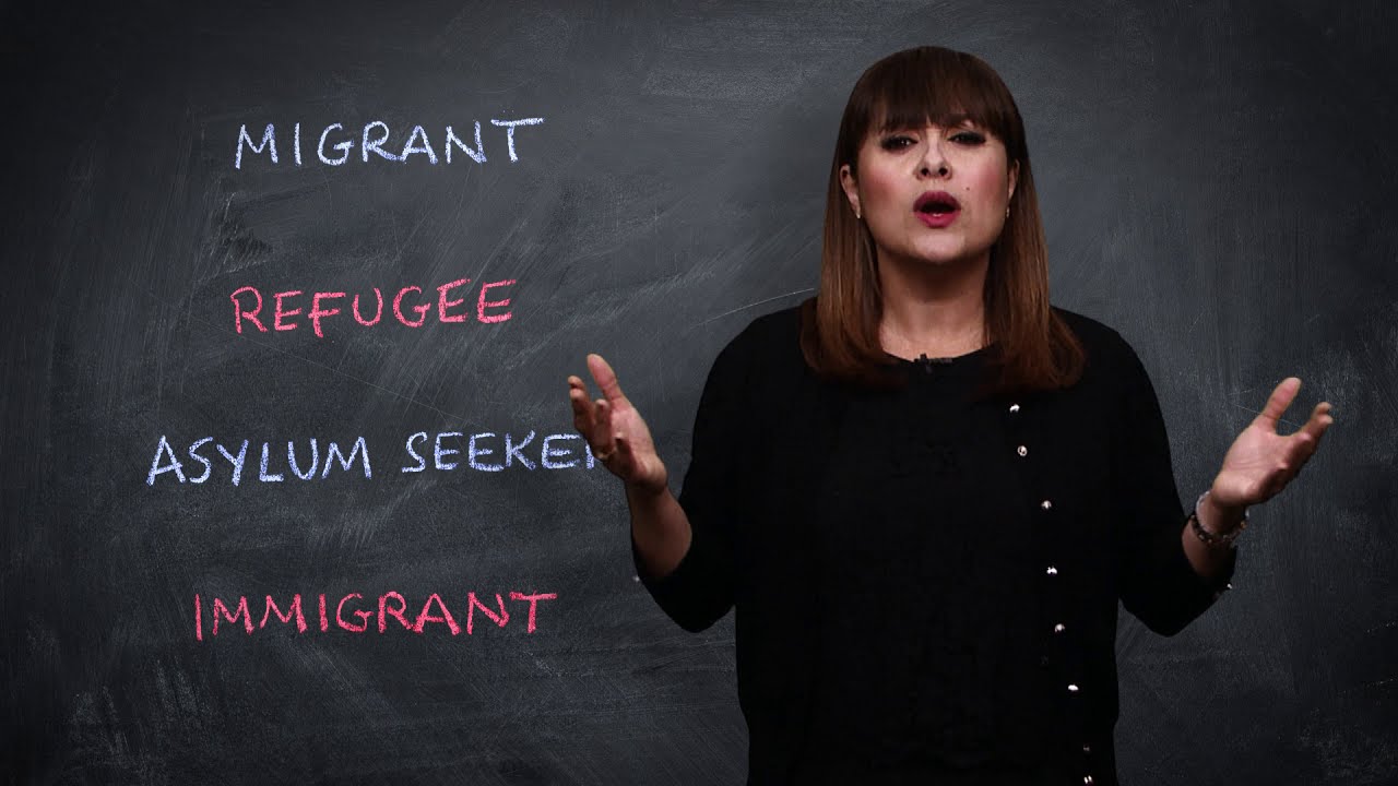 Comprehensive Guide to Immigration Law Fundamentals and Key Insights