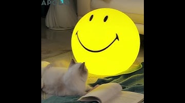 Smiley Face Lamp